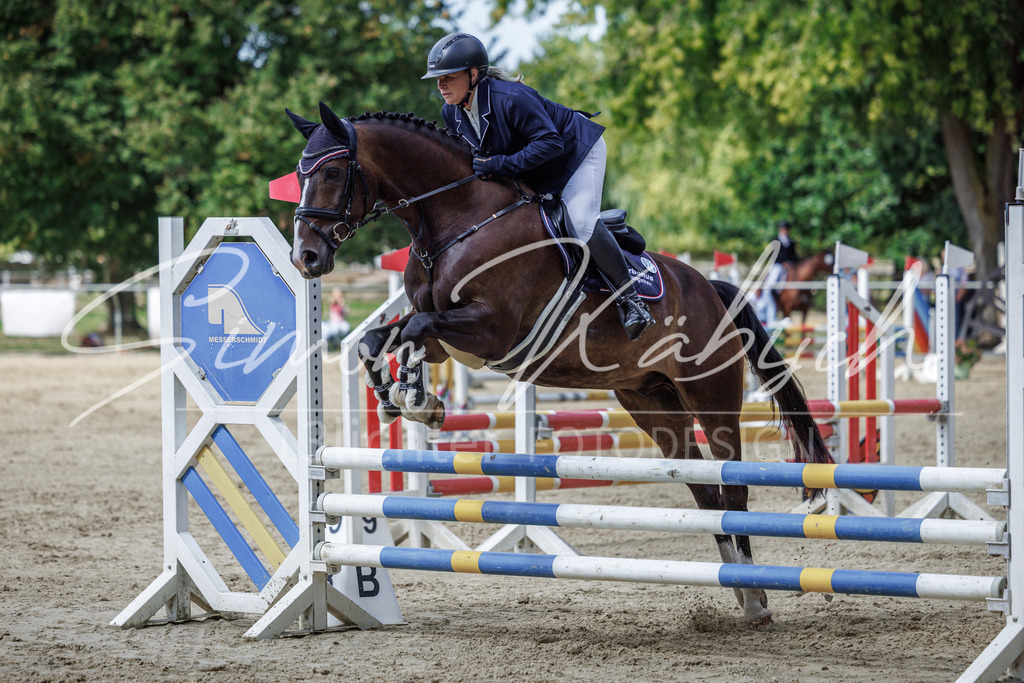 20260905-_3LI8855 | Tierfotografie Pferde, Hunde, Katzen, Haustiere.
Turnierfotografie Reitturniere, Reiten, Springreiten, Dressur in Hanau, dem Main-Kinzig-Kreis und dem Rhein-Main- Gebiet um Frankfurt