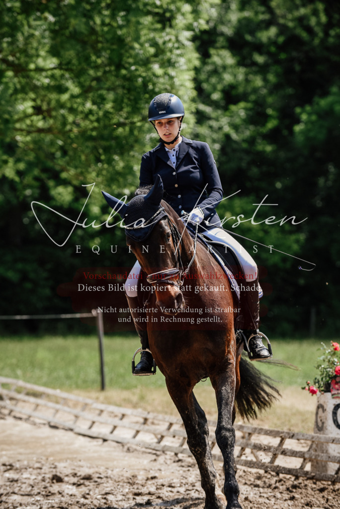 DSC_1441 | Pferde- und Turnierfotografie in Westsachsen. Pferdeportraits, Auftragszeichnungen und intuitive Kunst.