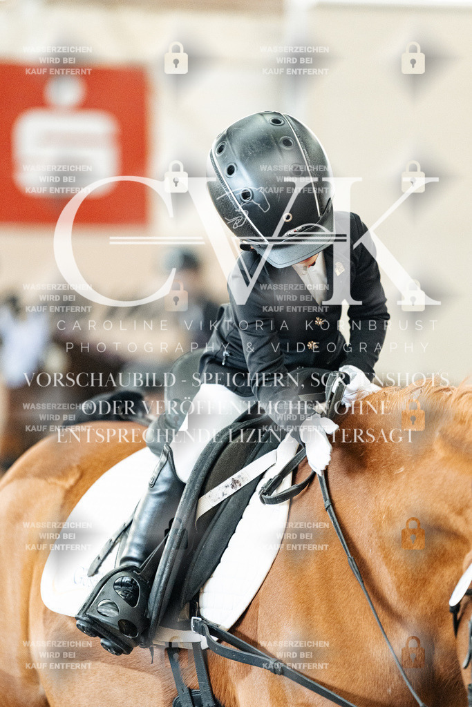 CK905543 | Turnierfotografie Pferdefotografie Trier Rheinland-Pfalz Pferdesport Reitsport Tierfotografie Sportfotografie Pferdevideo Pferdevideografie Equestrianvideography equestrianphotography  - Realized with Pictrs.com
