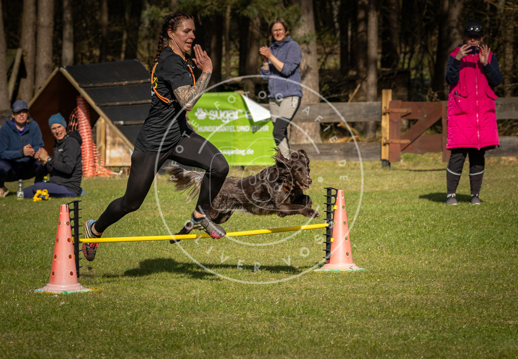 Pfotenfotografie_DV3A1800 | Hundefotografie, Tierfotograf, Pfotenfotografie, Fotoshooting Hund, Hunde Portrait, Hundesport, Hundeportraits, Heideshooting, Hunde, Sportfotograf, Hundefotograf, Turnierhundsport, THS,  - Realisiert mit Pictrs.com