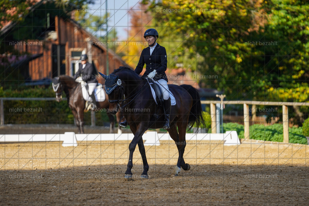 20221007-FAH00157 | Diessen am Ammersee, 2022, Dressur- und Springturnier, Reitsportbilder, Turnierfotografen Bayern, Pferdefotografen, Fotoagentur Herrmann, Turnierbilder