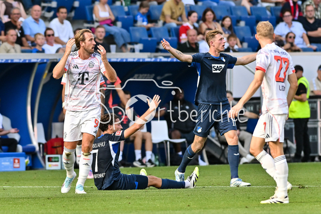 TSG 1899 Hoffenheim - FC Bayern München | Harry KANE (FC Bayern Muenchen 9) ist mit einem Pfiff es Schiedsrichters nicht einverstanden / Foul / Bundesliga: TSG 1899 Hoffenheim - FC Bayern München; PreZero-Arena am 20.09.2025 / DFL REGULATIONS PROHIBIT ANY USE OF PHOTOGRAPHS AS IMAGE SEQUENCES AND/OR QUASI-VIDEO