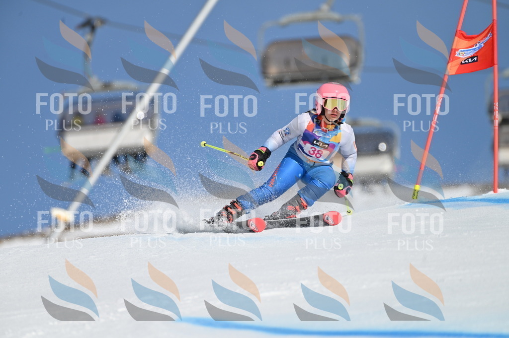 BGV_8300 | holidayphoto