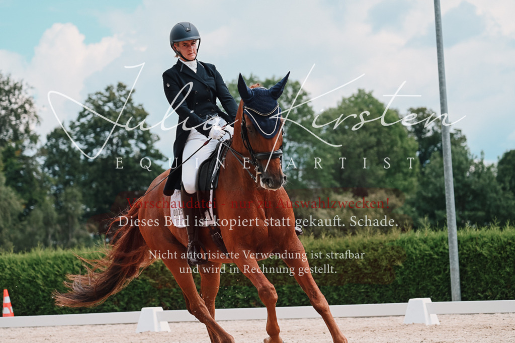 DSC_4235 | Pferde- und Turnierfotografie in Westsachsen. Pferdeportraits, Auftragszeichnungen und intuitive Kunst.