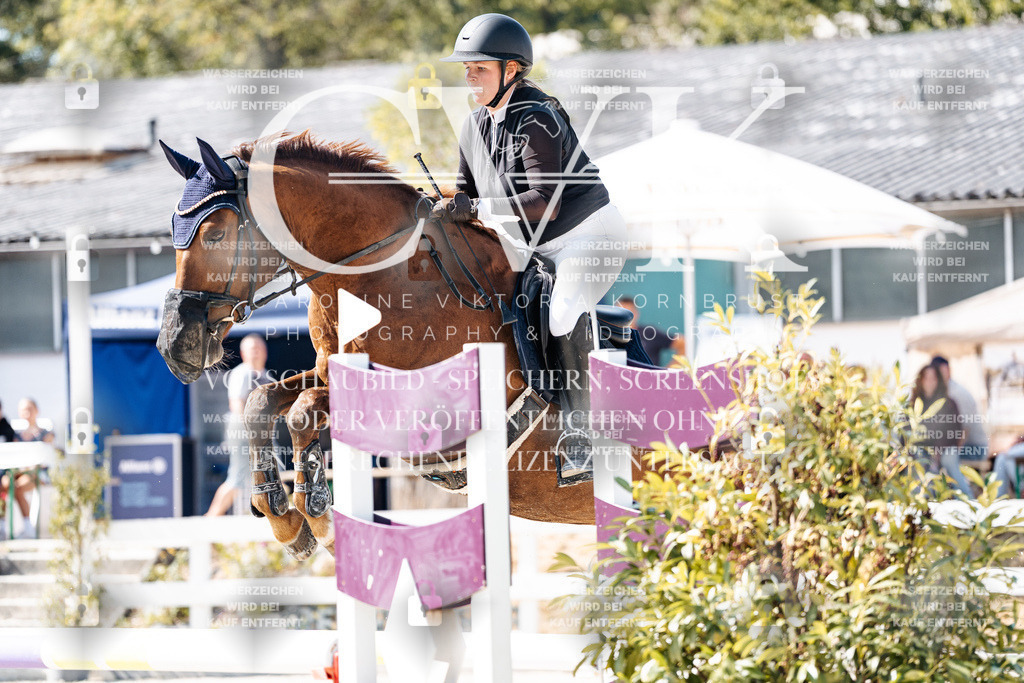 CK908501 | Turnierfotografie Pferdefotografie Trier Rheinland-Pfalz Pferdesport Reitsport Tierfotografie Sportfotografie Pferdevideo Pferdevideografie Equestrianvideography equestrianphotography  - Realisiert mit Pictrs.com