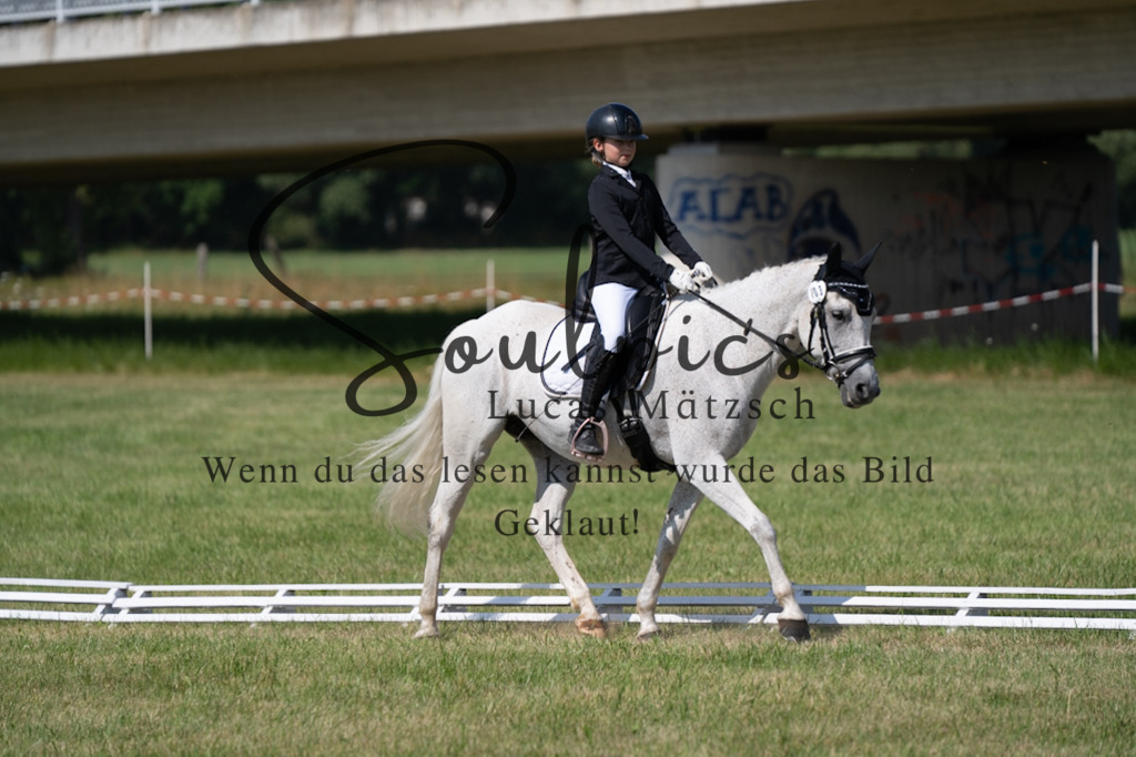 A7V09683 | Pferdefotograf