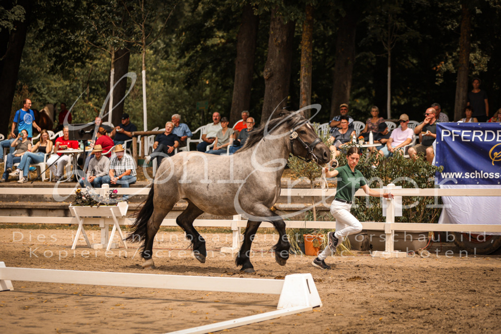 4.Sa00025 | Leoni Ertmer Photography - Realisiert mit Pictrs.com