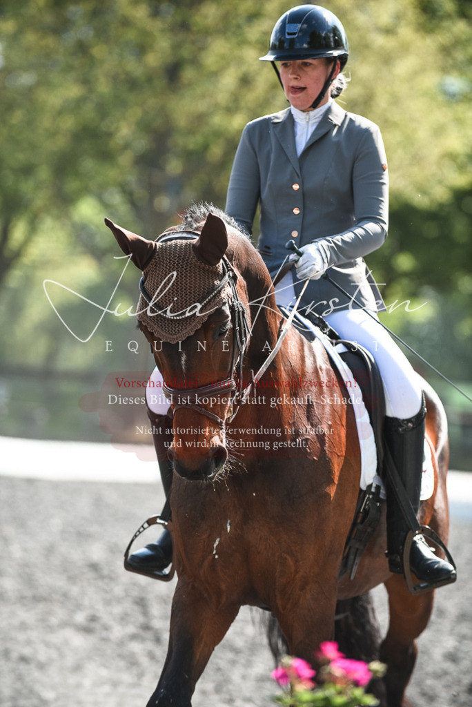 DSC_8950 | Pferde- und Turnierfotografie in Westsachsen. Pferdeportraits, Auftragszeichnungen und intuitive Kunst.