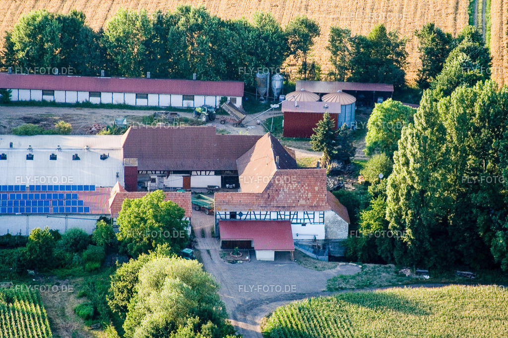 am Erlenbach, Leistenmühle | Luftbild: am Erlenbach, Leistenmühle in Kandel im Bundesland Rheinland-Pfalz in Deutschland. Foto: IMG_11809.jpg vom 25.07.2008 durch Werner Riehm/FLY-FOTO.de - Realisiert mit Pictrs.com