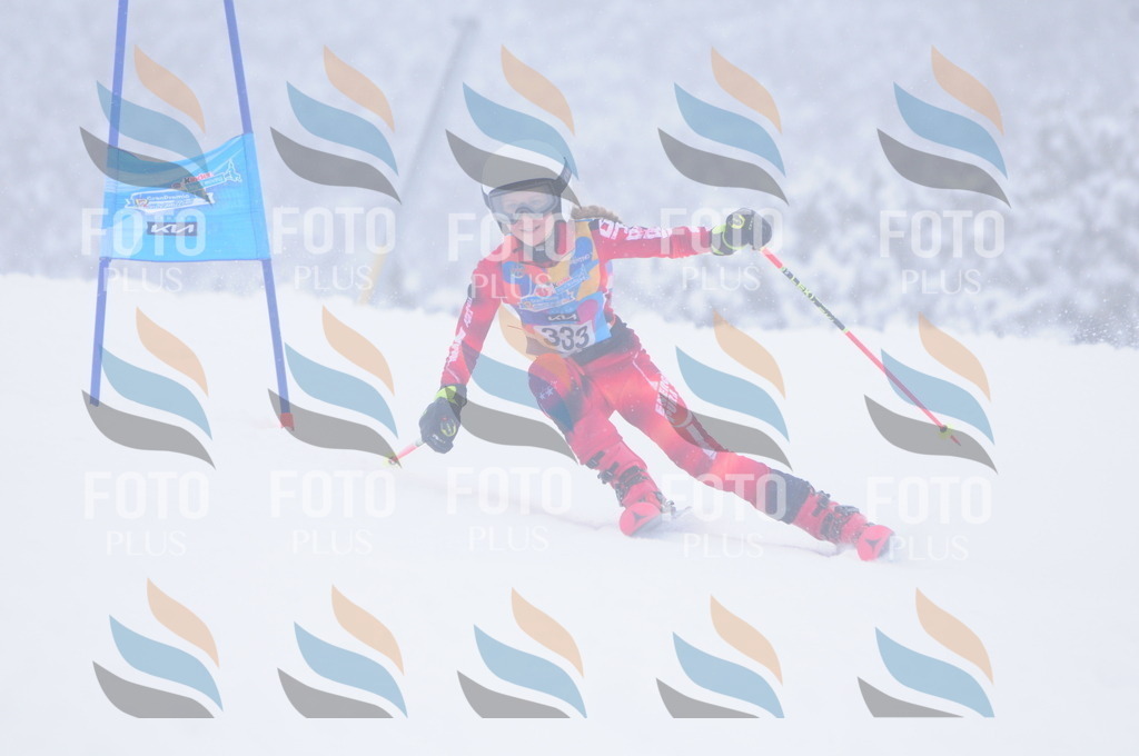 C3563 | holidayphoto