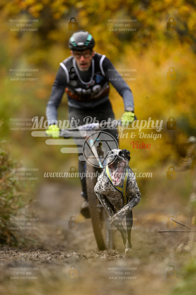 MompixPhotography_ICF_WC_2024_SA_Bike_-163 | PayLife