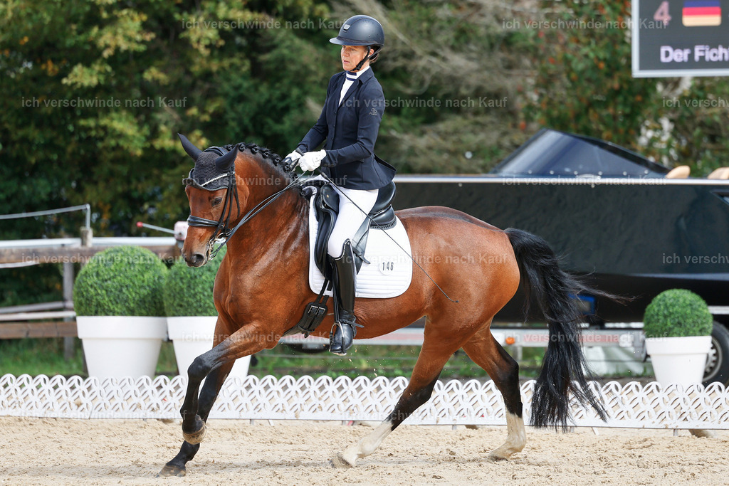 05-146-DRESSUR M_  -StoibPH-4944 | working equitationturnier fotograf videograf stoibphotography marixx film working equitation deutschland reitsport turnierfotografie eventfotografie equestrian events