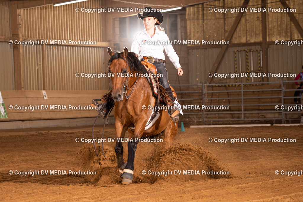 NID01200 | dv-media-shop - Realisiert mit Pictrs.com