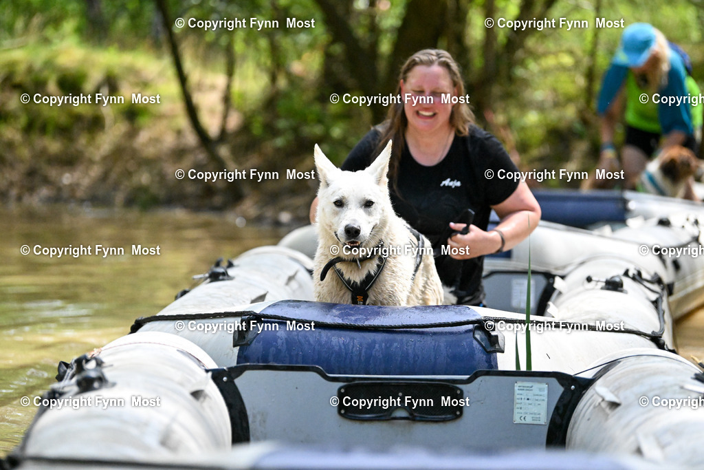 DSC_6172 | Hallo und herzlich Willkommen auf meiner Shop-Seite Fynn Most.

Ich wünsche Dir viel Spaß beim stöbern durch die Bilder, wenn Du Fragen hast oder Bilder vermisst, kannst du mir gerne eine Nachricht schreiben. - Realisiert mit Pictrs.com