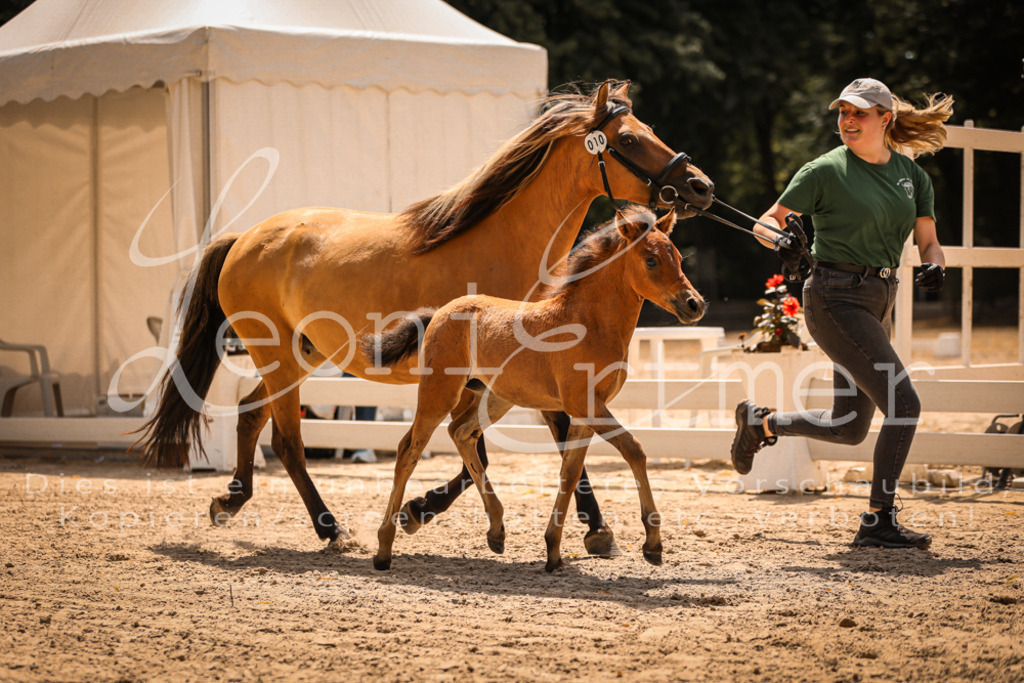 02.DoSR00107 | Leoni Ertmer Photography - Realisiert mit Pictrs.com