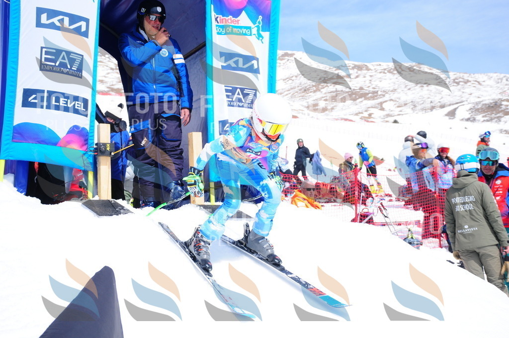 DSC_6173 | holidayphoto