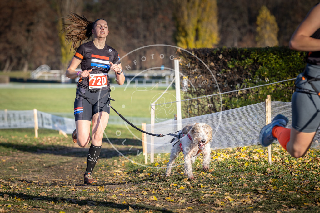 CaniXpix_DV3A1851 | Hundefotografie, Tierfotograf, Pfotenfotografie, Fotoshooting Hund, Hunde Portrait, Hundesport, Hundeportraits, Heideshooting, Hunde, Sportfotograf, Hundefotograf, Turnierhundsport, THS,  - Realisiert mit Pictrs.com