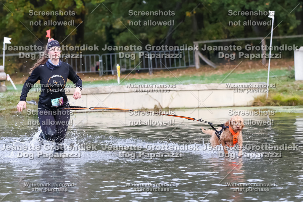 Dog Paparazzi - Strongdog 10-25-6224 | Dog Paparazzi Jeanette Grottendiek Fotografie & Videografie - Realisiert mit Pictrs.com