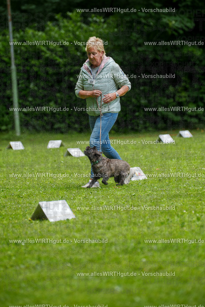 @allesWIRTHgut_Tierfotografie - www.allesWIRTHgut.de - 7R504446 | Professionelle Tierfotografie in Mönchengladbach von Daniel Wirth (allesWIRTHgut). Liebevolle & natürliche Bilder von Hunden & Katzen für unvergessliche Erinnerungen.