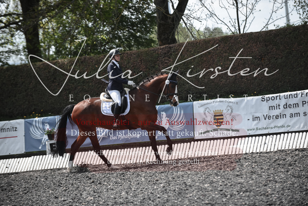 20230513_JK-Röhrsdorf-14-672 | Pferde- und Turnierfotografie in Westsachsen. Pferdeportraits, Auftragszeichnungen und intuitive Kunst.