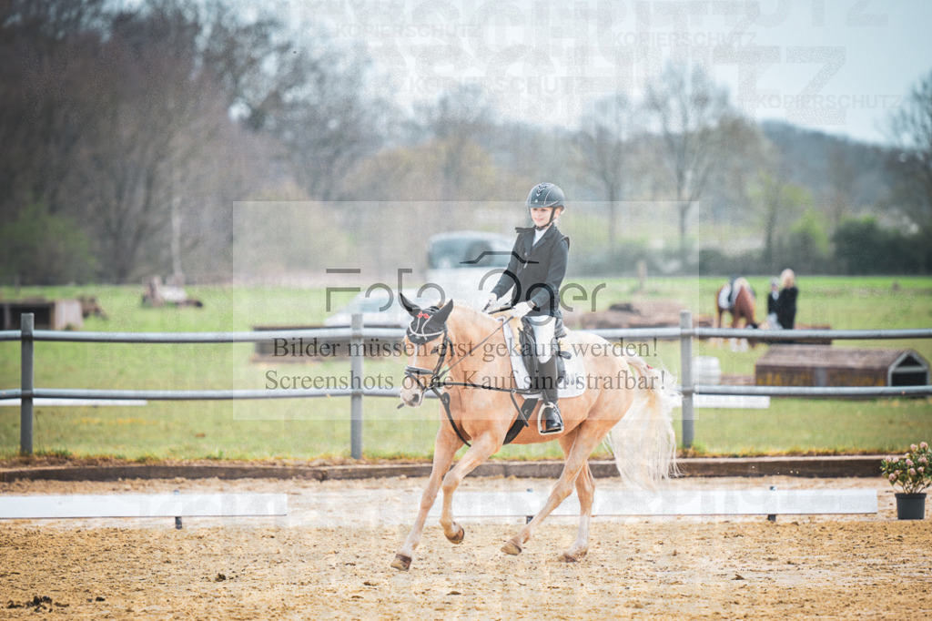 DOS_6810 | Entdecke hochwertige Reitturnierfotos von Foto Oger. Professionell, emotional und authentisch – jetzt Lieblingsmomente im Shop bestellen.Deutschlandweite Turnierfotografie. - Realisiert mit Pictrs.com