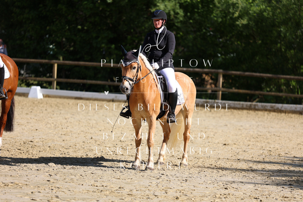 IMGT9917 | pl-fotografie