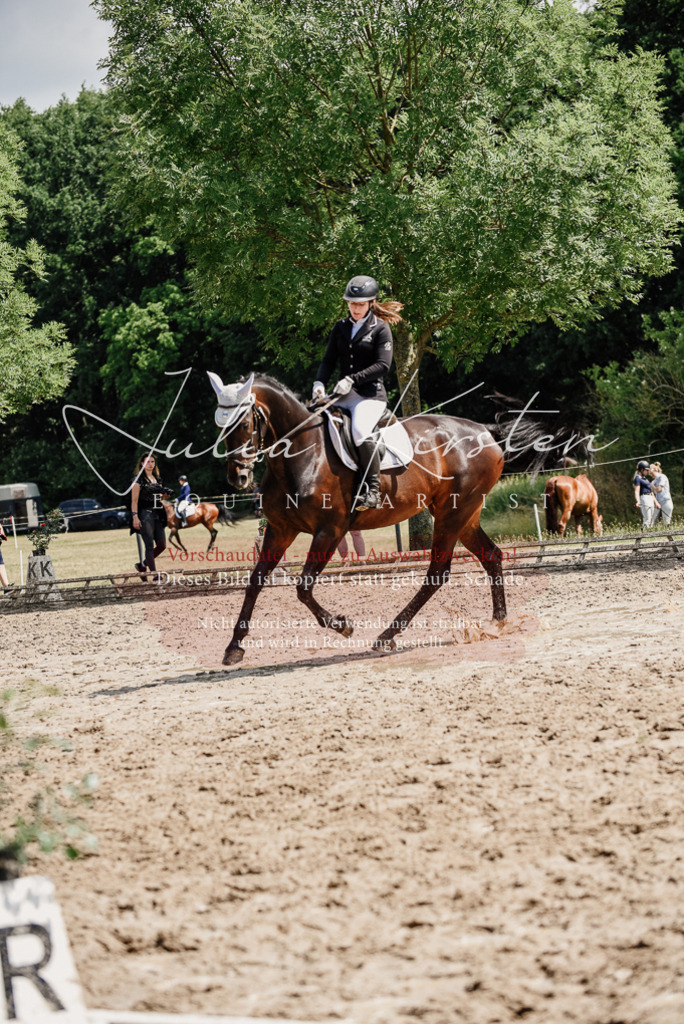 DSC_1070 | Pferde- und Turnierfotografie in Westsachsen. Pferdeportraits, Auftragszeichnungen und intuitive Kunst.