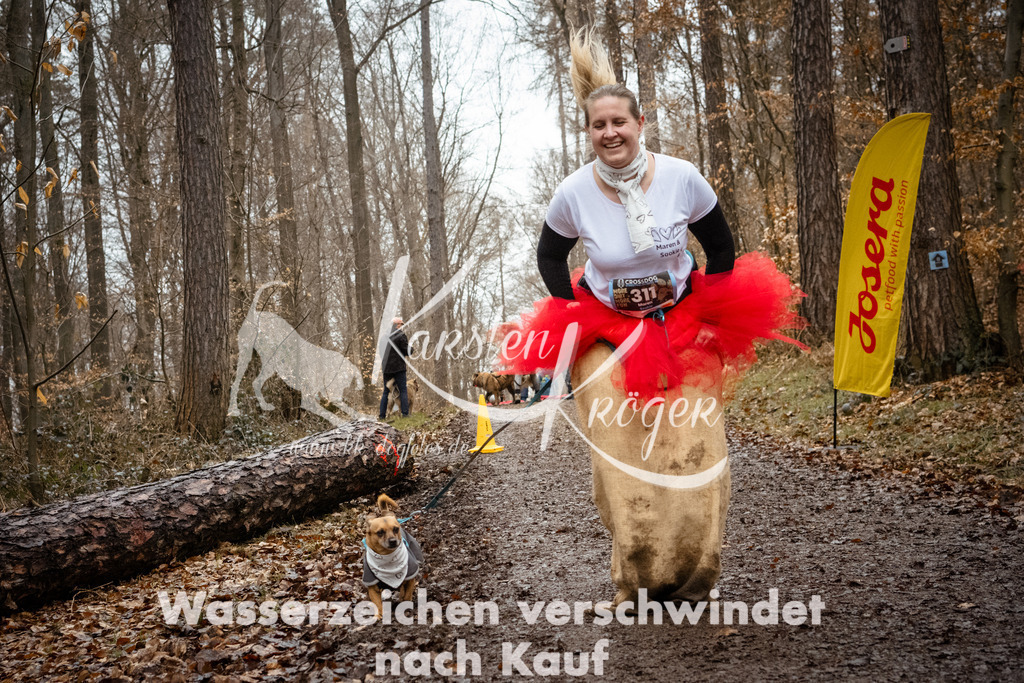 1212_ZZ94534 | kk-dogfotos