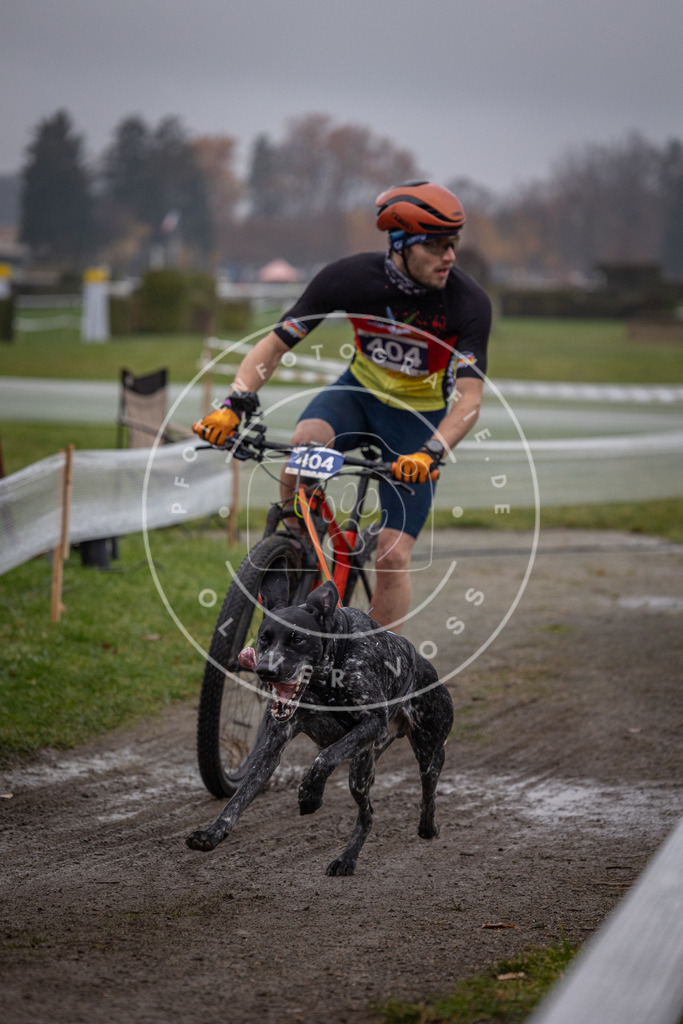 CaniXpix_0L8A1196 | Hundefotografie, Tierfotograf, Pfotenfotografie, Fotoshooting Hund, Hunde Portrait, Hundesport, Hundeportraits, Heideshooting, Hunde, Sportfotograf, Hundefotograf, Turnierhundsport, THS,  - Realisiert mit Pictrs.com