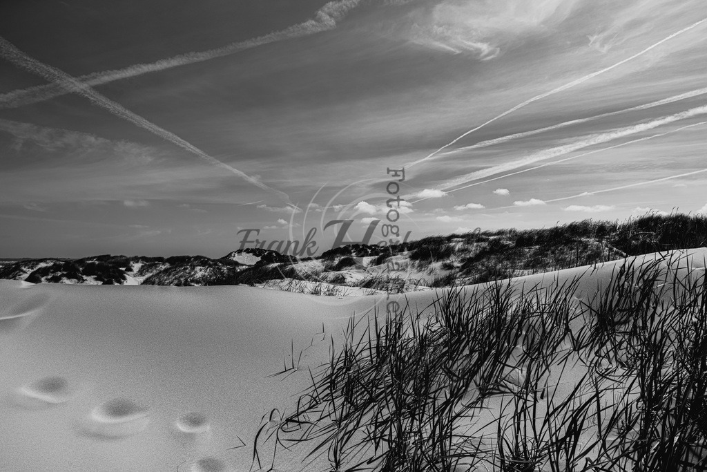St. Peter Ording | St. Peter Ording - Realisiert mit Pictrs.com
