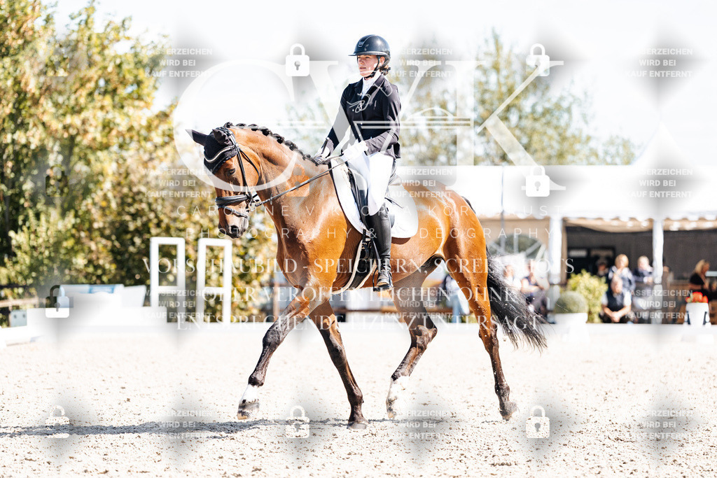 CK902910 | Turnierfotografie Pferdefotografie Trier Rheinland-Pfalz Pferdesport Reitsport Tierfotografie Sportfotografie Pferdevideo Pferdevideografie Equestrianvideography equestrianphotography  - Realisiert mit Pictrs.com