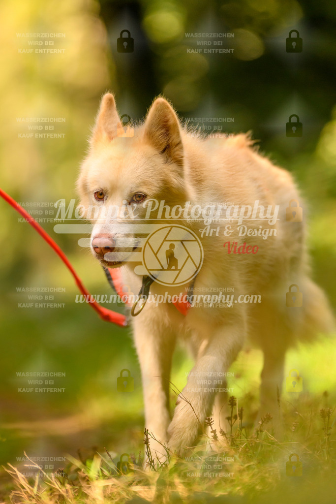 MompixPhotography_Yens2025_B3-5 | PayLife