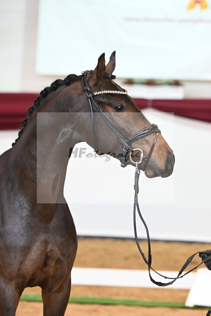 Kat-Nr. 49 v. Secret_Lachat_66220636 | hf-fotografie - Realisiert mit Pictrs.com