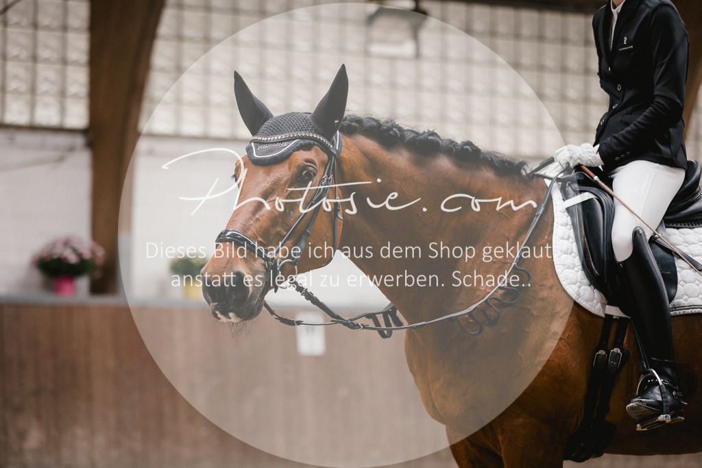 3I6A6777 | Stimmungsvolle Portraits und Reitsportfotografie im Ruhrgebiet und im Münsterland.

Pferdefotografie, Hundefotografie, Tierfotografie, Reportagen, Portraits von Tier und Mensch, Turnierfotografie in Bochum, Recklinghausen, Marl, Haltern am See, Dülmen.. - Realisiert mit Pictrs.com