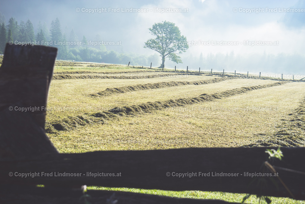 Geiger Hinterwildalpen Bergtour-03231 | Fotos und Fotoprodukte - Realisiert mit Pictrs.com