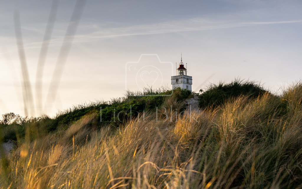 unbenannt-317-2 | <licht-blick-fotografie><shooting><portraitshooting><tiershooting><landschaftsbilder><shootingbuchen><buchen><fotografbremen> <fotograf niedersachsen><fotografin Bremen und niedersachsen><carshooting><automobilfotografie><auto> - Realisiert mit Pictrs.com