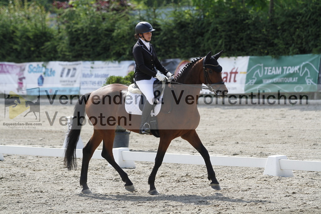 _MG_2141 | equestrian-live-com