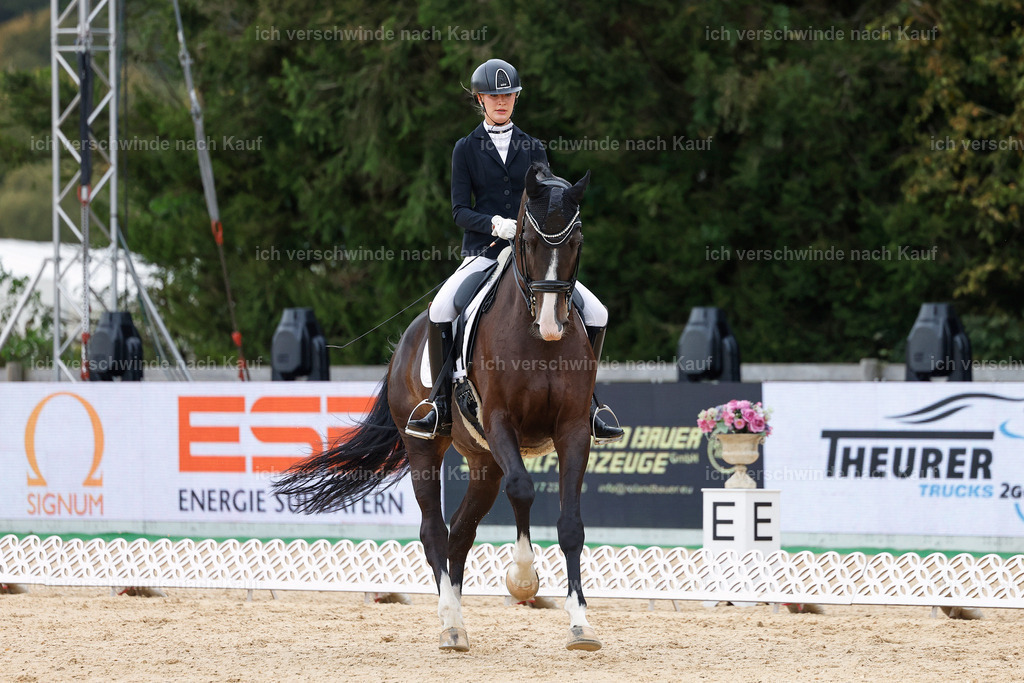3-147-Dressur M_-StoibPH-2371 | working equitationturnier fotograf videograf stoibphotography marixx film working equitation deutschland reitsport turnierfotografie eventfotografie equestrian events