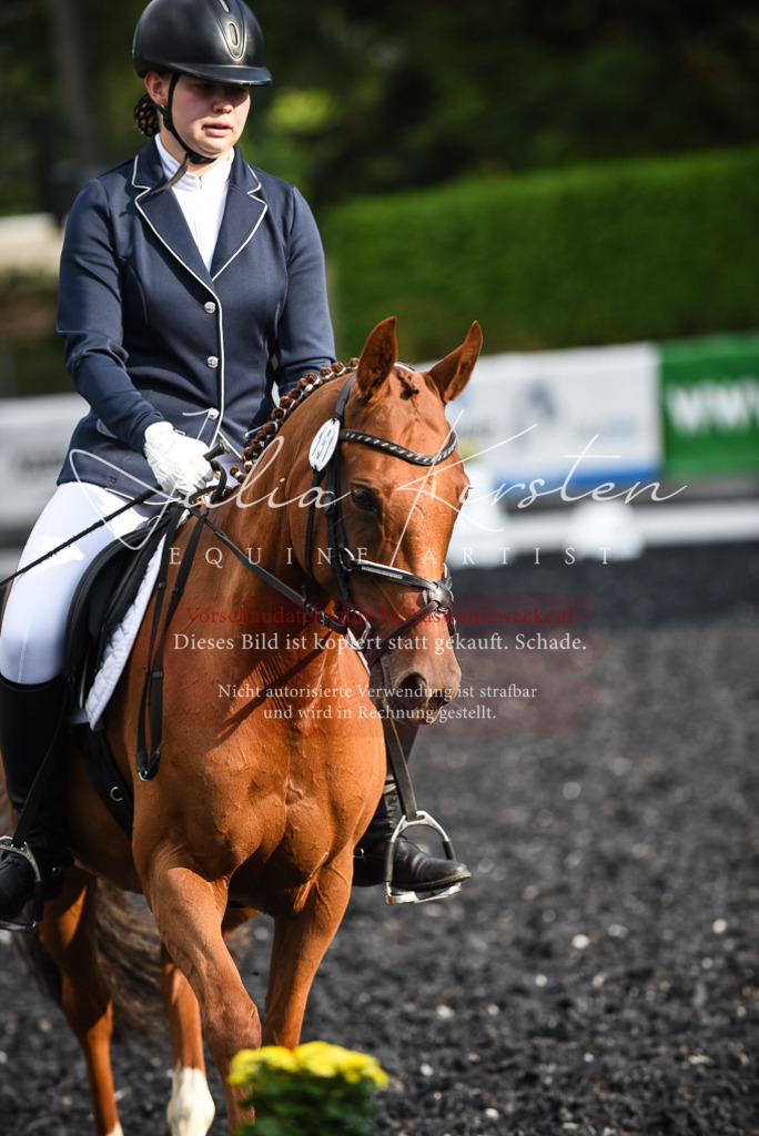DSC_3424 | Pferde- und Turnierfotografie in Westsachsen. Pferdeportraits, Auftragszeichnungen und intuitive Kunst.