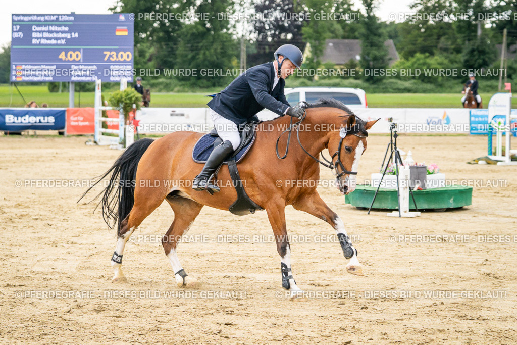 DSC06565 | Pferdegrafie