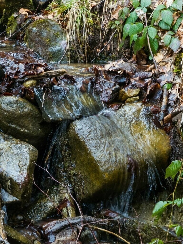 PSX_20230421_232936 | mtkfoto_ - Realisiert mit Pictrs.com