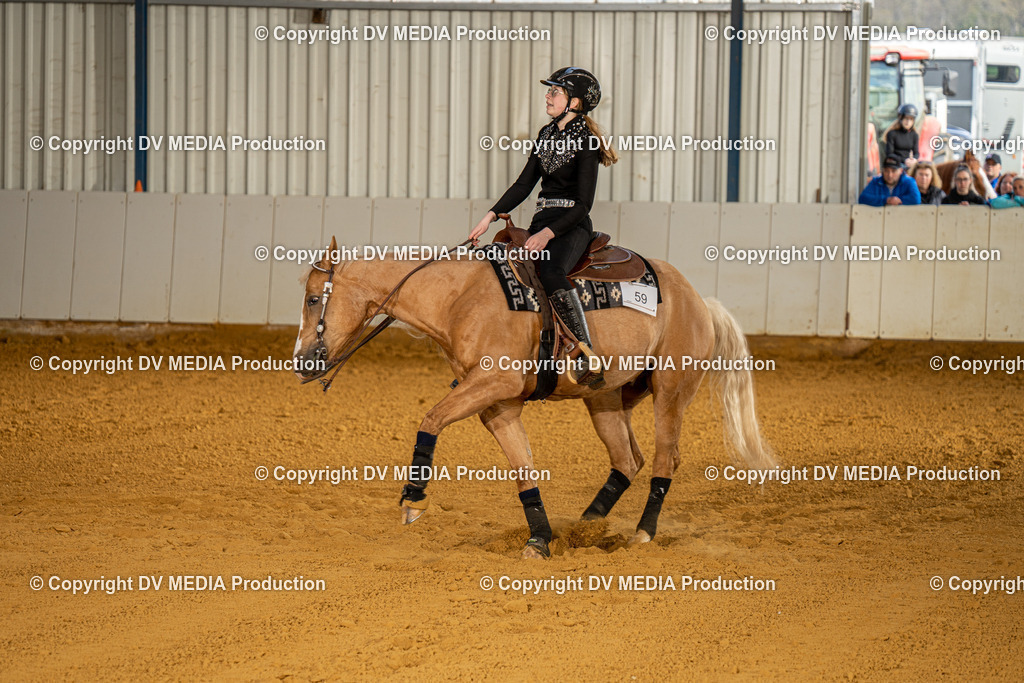 MIT00844 | dv-media-shop - Realisiert mit Pictrs.com