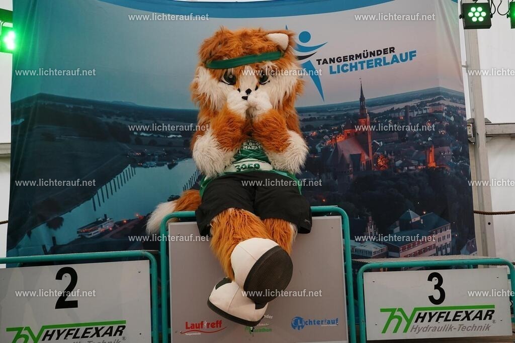 DSC05142 | Lichterlauf  - Realisiert mit Pictrs.com