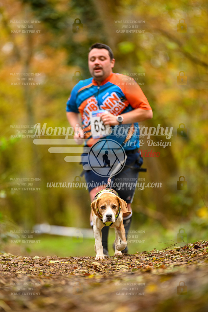 MompixPhotography_Bischwiller24_SA_Canicross-135 | PayLife
