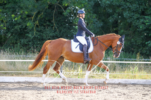 DKP45504 | Turniersportfotografie; Pferdefotografie; Dressurfotografie