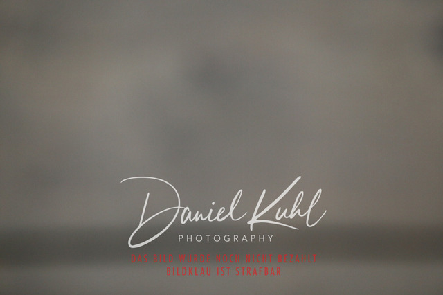 IMG_0722 | Turnierfotos kaufen im Webshop von Daniel Kuhl Photography – entdecke professionelle Reitsportfotos aus Turnieren & Events. Hochwertige Turnierbilder online bestellen & sichern. Jetzt Fotos von Reitsportturnieren kaufen!