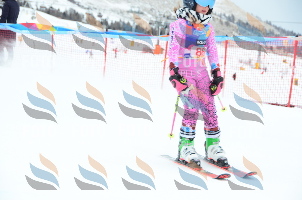 DSC_1148 | holidayphoto