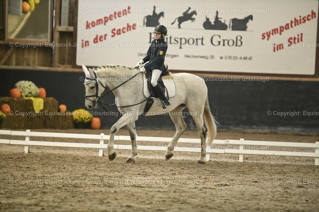 20231029_02_Reiter-WB_Schritt-Trab_Abteilung-01_0013 | Foto: Thomas Hartig