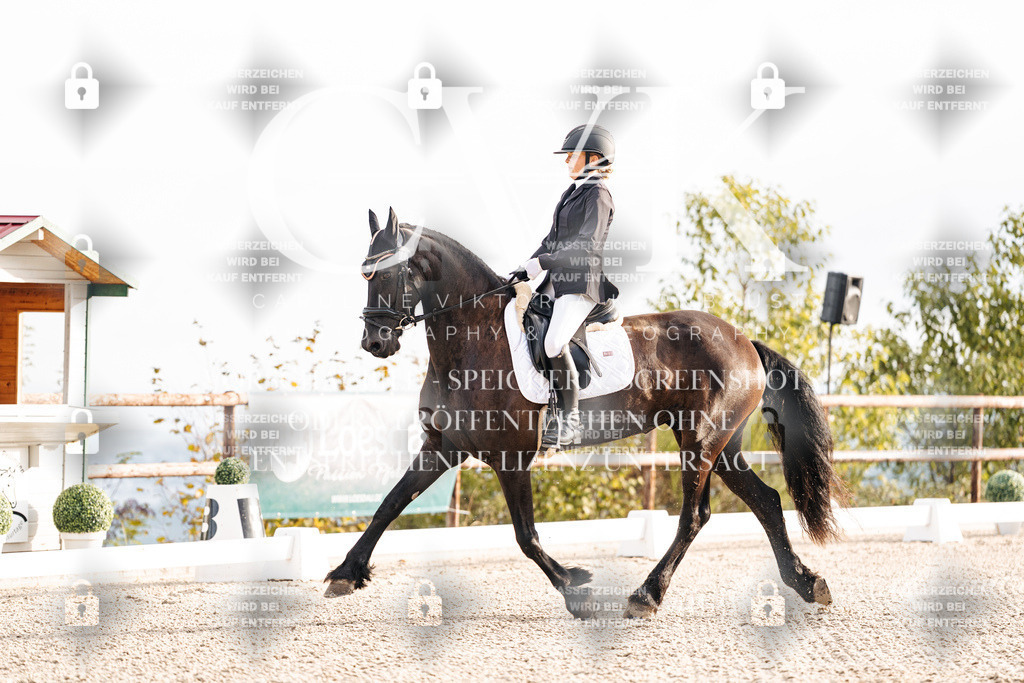 CK900316 | Turnierfotografie Pferdefotografie Trier Rheinland-Pfalz Pferdesport Reitsport Tierfotografie Sportfotografie Pferdevideo Pferdevideografie Equestrianvideography equestrianphotography  - Realisiert mit Pictrs.com