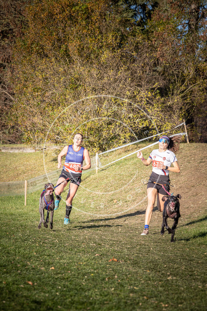 CaniXpix_0L8A9264 | Hundefotografie, Tierfotograf, Pfotenfotografie, Fotoshooting Hund, Hunde Portrait, Hundesport, Hundeportraits, Heideshooting, Hunde, Sportfotograf, Hundefotograf, Turnierhundsport, THS,  - Realisiert mit Pictrs.com